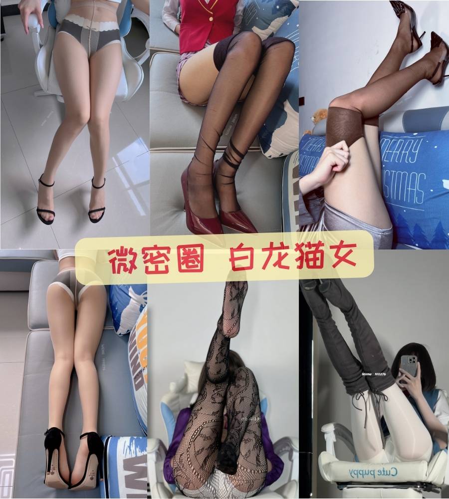 丝袜诱惑 白龙猫女 微密圈写真图片以及视频资源合集