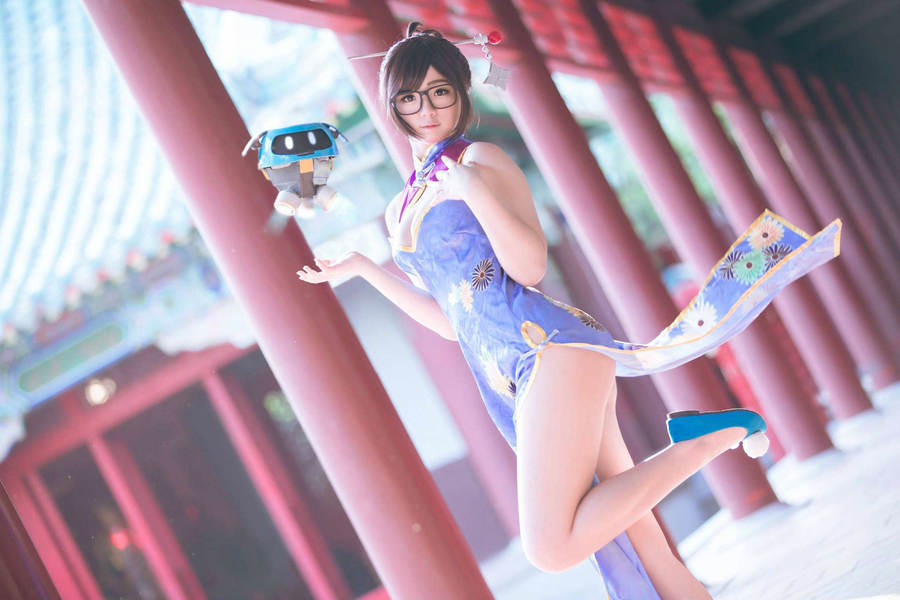 natsuko夏夏子 旗袍美女写真及视频全集下载