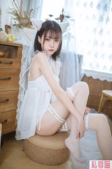 黑丝御姐 许岚LAN Cosplay写真图片以及视频合集下载